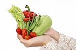 Hand Holding Vegetables Stock Photo