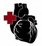 Human Heart With Red Cross Stock Photo
