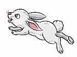 Illustration Of Rabbit -  Illustration Stock Photo