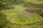 Inca Agriculture Field Stock Photo