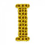 Isolated Sunflower Alphabet I Stock Photo