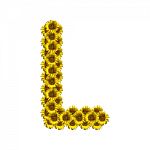Isolated Sunflower Alphabet L Stock Photo