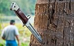 Knife On Tree Stock Photo
