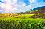Landscape Beautiful Rice Terrace And Sunbeam In Chiang Mai,thail Stock Photo