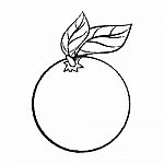 Line Drawing Of Orange With Leave -simple Line Stock Photo