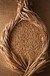 Malt Still Life Rope Flax Frame Sackcloth Background Stock Photo