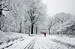 Man Walking In Snow Storm