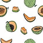 Melon, Cantalop Seamless Pattern By Hand Drawing On White Backgr Stock Photo