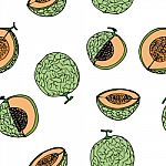 Melon, Cantalop Seamless Pattern By Hand Drawing On White Backgr Stock Photo