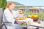 Morning Juice On Terrace With Dog Stock Photo