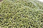 Mung Bean Stock Photo