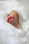 New Born Baby Foot On White Blanket Stock Photo