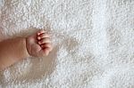 New Born Baby Hand On White Blanket Stock Photo