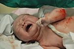 New Born Infant Stock Photo