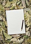 Notebook With Autumn Leaves Stock Photo