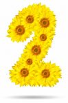 Number 2 Made Of Sunflower Stock Photo