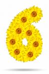 Number 6 Made Of Sunflower Stock Photo