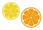 Orange And Lemon Stock Photo