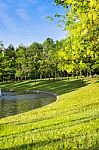 Park With Basin On Sunset Stock Photo