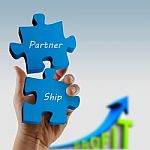 Partnership Puzzle Pieces In Hand Stock Photo