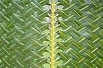 Pattern Weaving Of Coconut Leaves Stock Photo