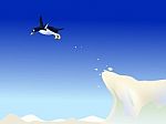 Penguin Jump Stock Photo