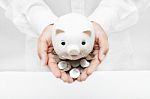 Piggy Bank Stock Photo