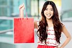 Pretty Shopaholic Girl With Shopping Bag Stock Photo