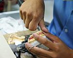 Producing Dentures Laboratory Stock Photo