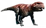 Psittacosaurus Stock Photo