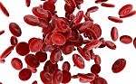Red Blood Cells Stock Photo