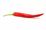 Red Chile On White Background Stock Photo