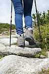 
Hiking Woman With Trekking Boots And Sticks On The Rocky Stock Photo