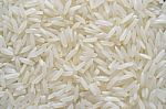 Rice Grain Stock Photo