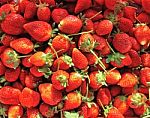 Ripe Perfect Strawberry Stock Photo