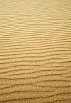 Rippled Sand