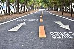  Safe Bikes Words With White Arrow Sign Marking On Road Surface In The Park Stock Photo