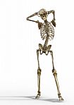 Skeleton Flexing Stock Photo