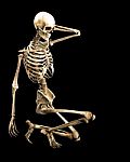 Skeleton Kneeling Pose Stock Photo