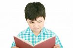 Small Boy Reading Book Stock Photo