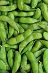 Soy Beans Stock Photo