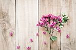 Spring Purple Flowers On Old Wooden Background Stock Photo
