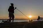Sunset Dog Walk Stock Photo