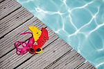 Swimming Pool Equipment Summer Concept Stock Photo