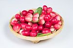 The Bengal-currants In Basket Stock Photo
