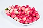 The Bengal-currants On White Dish Stock Photo