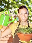 The Cultivation Of Plants In Pots Stock Photo
