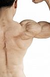Torso Muscular Man Showing Biceps. Rear View Stock Photo