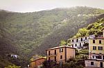 Traditional Italian Houses In Vernazza Stock Photo