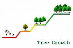 Tree Graph Stock Photo